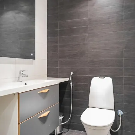 度假居 Karhu A By Interhome 萨利色尔卡